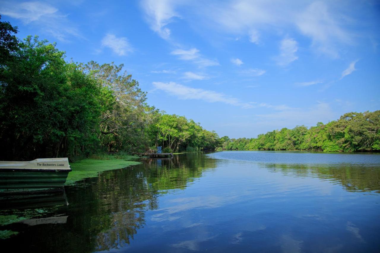 The Backwaters Lodge Wilpattu Kültér fotó