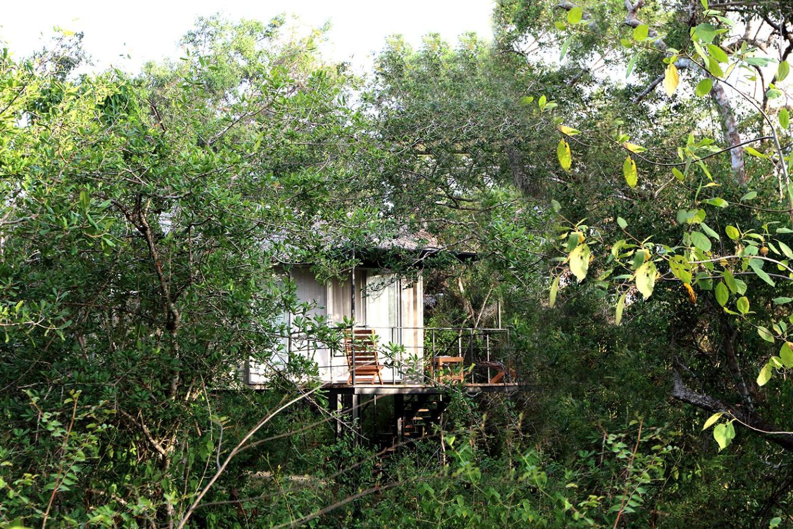 The Backwaters Lodge Wilpattu Kültér fotó