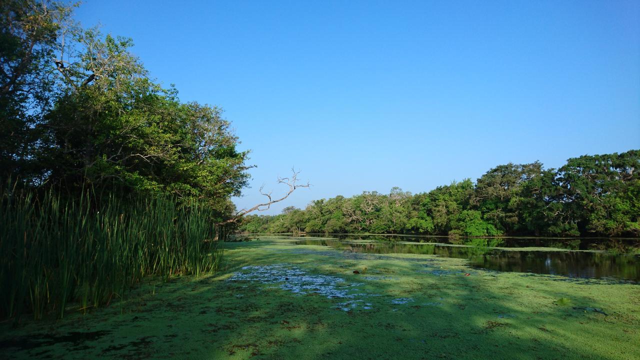 The Backwaters Lodge Wilpattu Kültér fotó