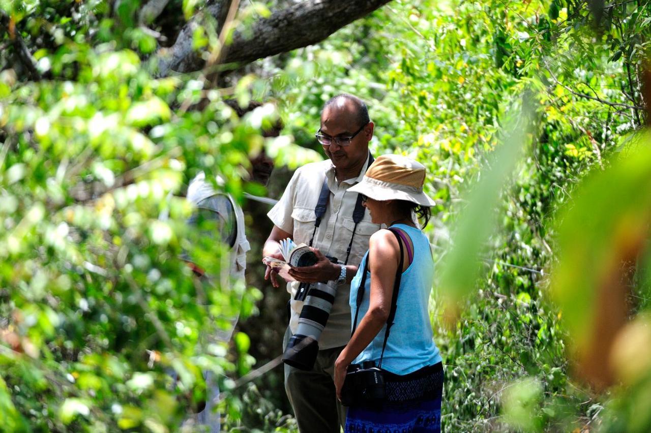 The Backwaters Lodge Wilpattu Kültér fotó